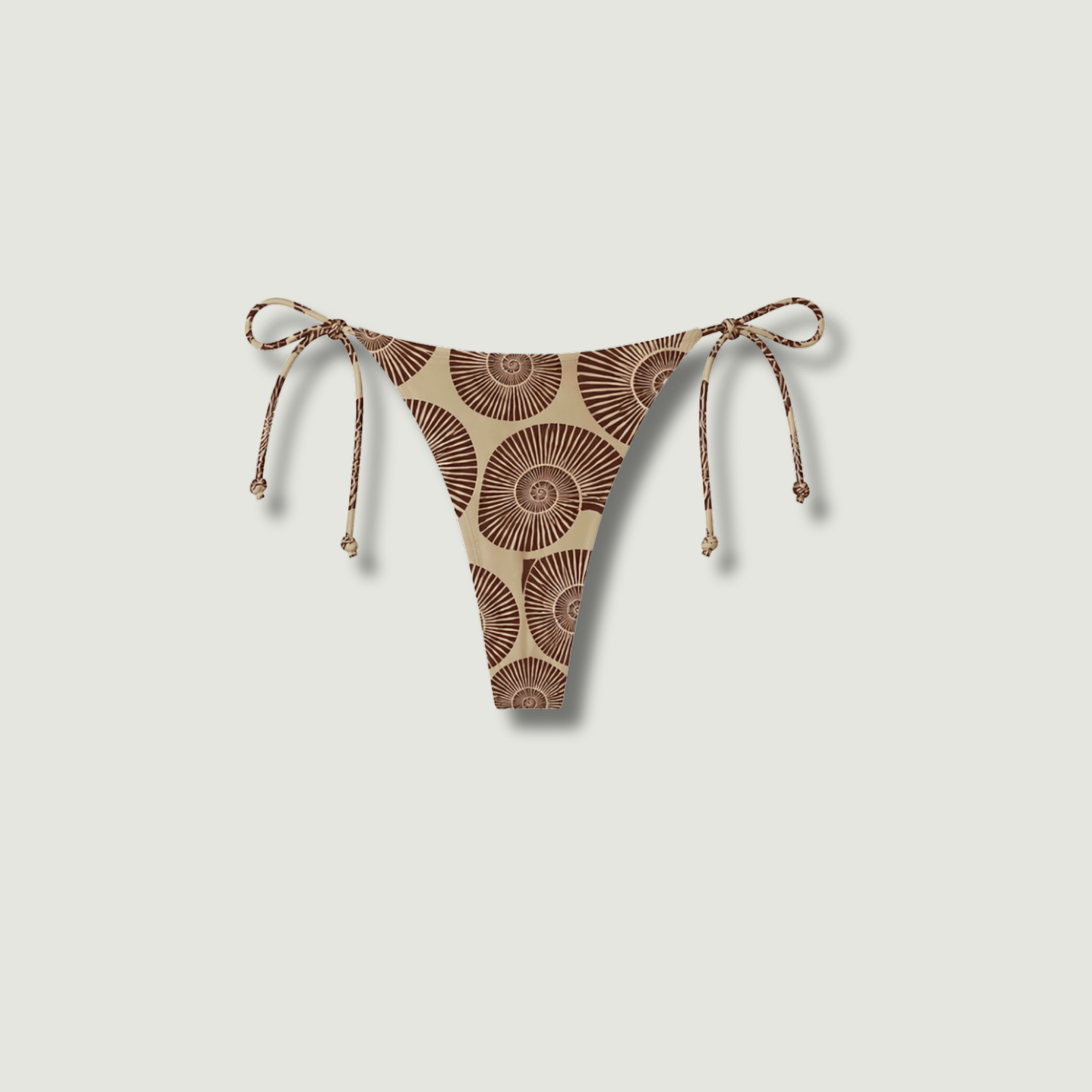 Cocoa Shell | bottom